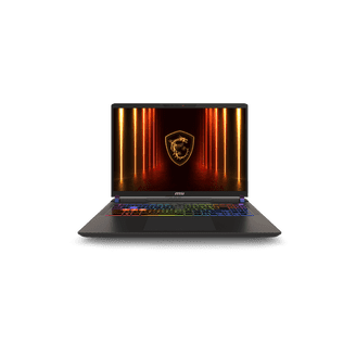 MSI Vector - LCD 16