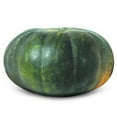 thumbnail image 1 of Calabaza regional por kilo, 1 of 3