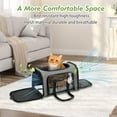 thumbnail image 5 of Collapsible Soft Sided Pet Carrier for Small Medium Dogs Cats Airline Approved Travel Bag, 5 of 6