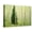 Canvas, variant on Art.com Silver FIr in Aspen Grove, White River National Forest, Colorado, USA Stretched Canvas Print Wall Art by Charles Gurche, 16" x 12"