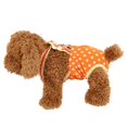 thumbnail image 2 of Pañal Para Perro Reutilizable De 6 Tamaños, Pantalones Sanitarios, Para Perro Hembra, 2 of 4