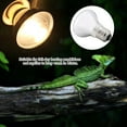thumbnail image 1 of Reptile Heating Light,Durable Night Heat Lamp Bulb For Bird Snake Reptile Pet Amphibian  220-230V, 1 of 8