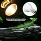 thumbnail image 5 of Luz para reptiles, luz de calor nocturna de 220-230 V, bombilla calefactora, luz calefactora de precisión diseñada, 5 of 7