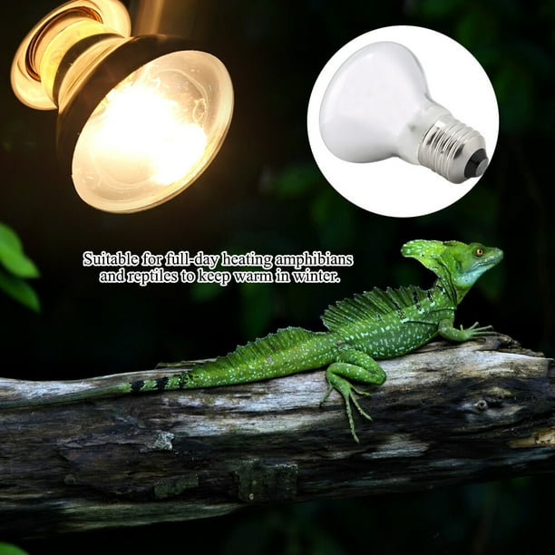 Bombilla 4 Tipos 220-230V Lámpara De Luz De Calor Nocturna Bombilla Para Pájaro Serpiente Reptil Mascota Anfibio