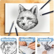 ArtSkills Charcoal Pencil Sketching and Drawing Set, 39 Piece Learn to Draw Art Kit for Kids, Teens, Adults