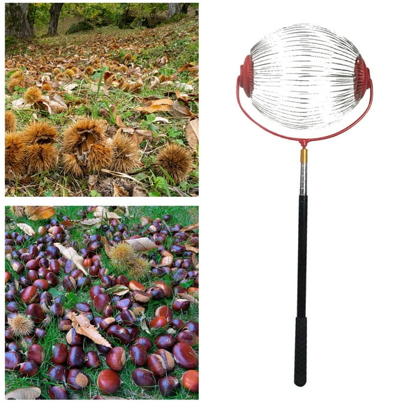 Acorn Picker Upper Roller, Garden Weasel Nut Gatherer, Manual Rolling Nut Collector, Multifunctional Walnut Picker Upper Roller for Pecans, Acorns, Hickory Nuts, Golf Balls, Sweet Gum Balls