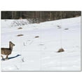 thumbnail image 1 of Deer Ceramic Tile Mural Kitchen Backsplash Bathroom Shower 402781-XL43, 1 of 3