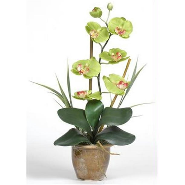 Nearly Natural 1016-GR Phalaenopsis Soie Orchidée Arrangement de Fleurs, Vert