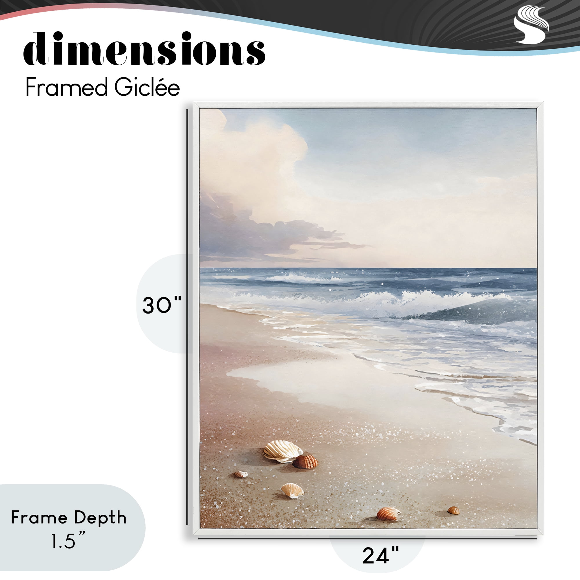 Stupell Industries Washed Up Seashells White Framed Giclee Art, design by Franklyn Gregory