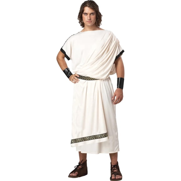 California Costumes Deluxe Classic Toga Men's Halloween Fancy-Dress Costume for Adult, One Size