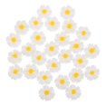 thumbnail image 5 of unbranded 50pcs Resin Mini Daisy Charms for Hairpins Phone Case DIY Crafts Tiny Daisy Flower Charms Versatile Tiny Daisy Flower Charms Ornaments, 5 of 8