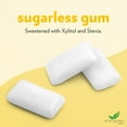 thumbnail image 3 of Evergreen Sweets Chewing gum -100 Pieces Jar - Natural Tropical Fruit Gum Made with Xylitol and Stevia - Sugar-Free, Aspartame Free and Vegan, 3 of 5