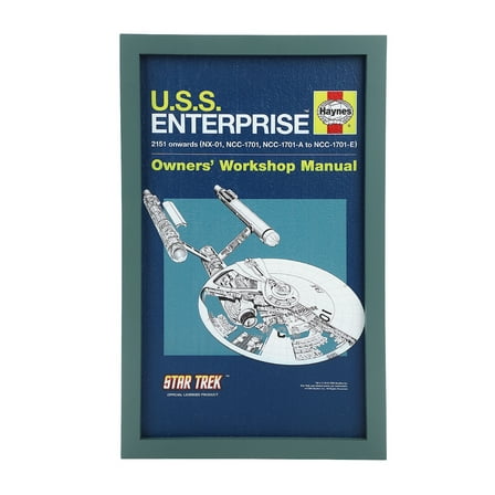 Star Trek U.S.S. Enterprise 11" x 18" Blue Wall Frame