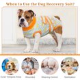 thumbnail image 6 of DENTRUN Dog Surgery Recovery Suit, Dog Onesie After Surgery Breathable Abdominal Wound Skin Diseases Protector, Cone Collar Alternative, Anti Licking Professional Surgical Recovery Costume, 6 of 7