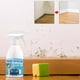 thumbnail image 1 of Spray eliminador de moho y hongos para paredes del hogar | Limpiador multisuperficies para baño, cocina y azulejos | Previene la formación de moho, elimina manchas e incrustaciones | Botella de 350, 1 of 9