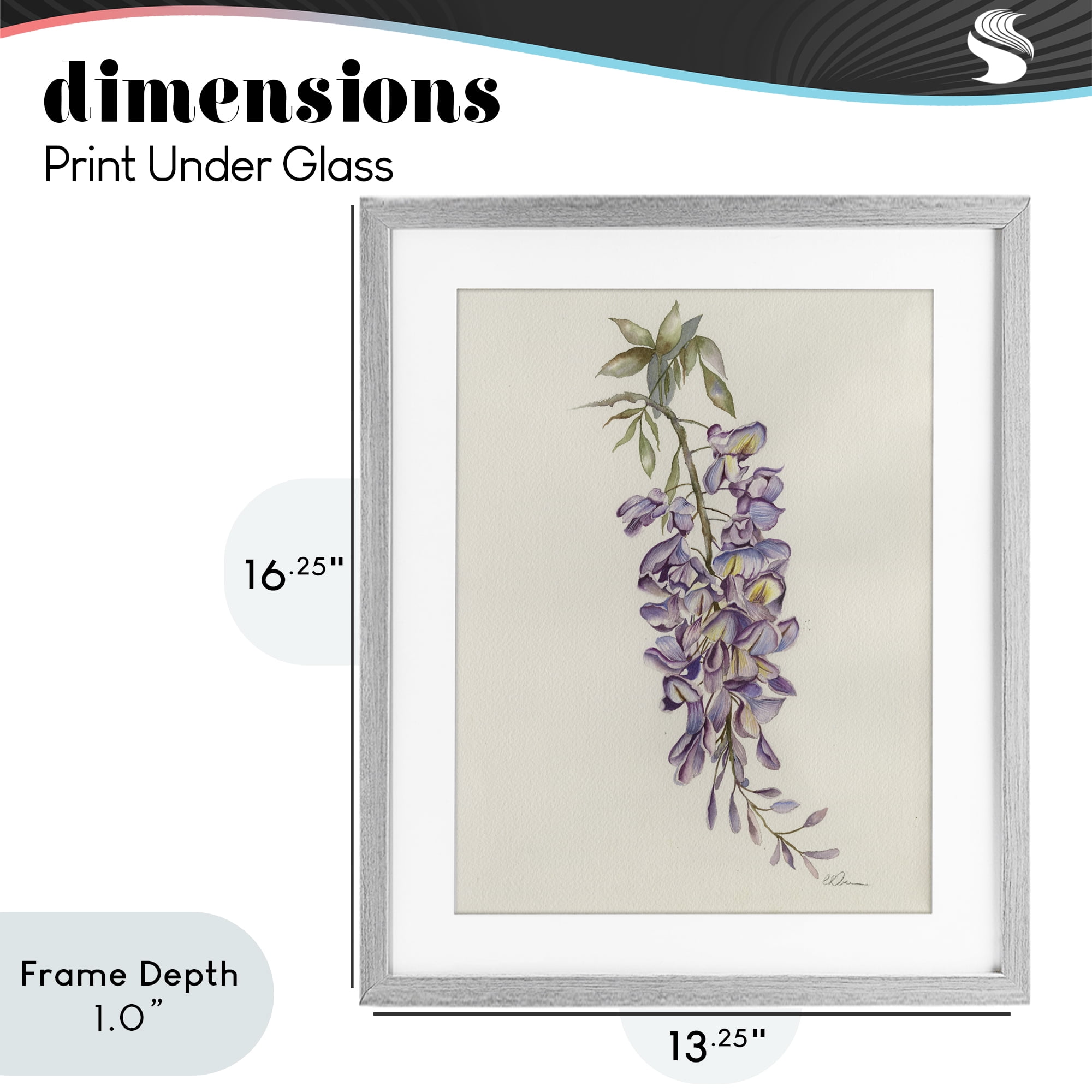 Stupell Industries Delicate Hyacinths Study Gray Framed Print Under Glass, design by Cady Driver