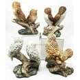 thumbnail image 2 of Colorful Owl Species Barn Great Horned Snowy & Screech Owls Perching On Branch Figurine Set Of 4, 2 of 2