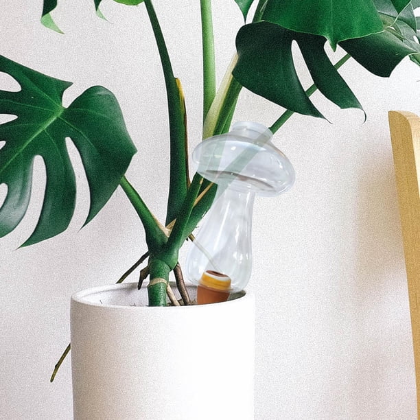 Sistema de goteo de riego automático Dispositivo de plantas de riego automático Jardín de gran capacidad 300ml Champiñón Cola riego por goteo
