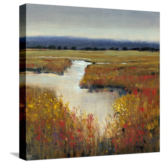Art.com Marsh Land I Stretched Canvas Print Wall Art by Tim O'toole, 16" x 16"