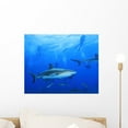 thumbnail image 1 of Shark with Scuba Divers Wall Mural by Wallmonkeys Peel and Stick Graphic (18 in W x 14 in H) WM124958, 1 of 4