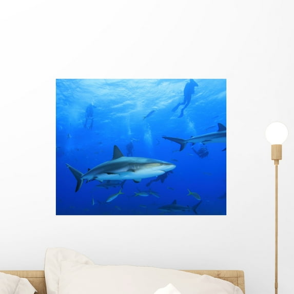 Shark with Scuba Divers Wall Mural by Wallmonkeys Peel and Stick Graphic (18 in W x 14 in H) WM124958