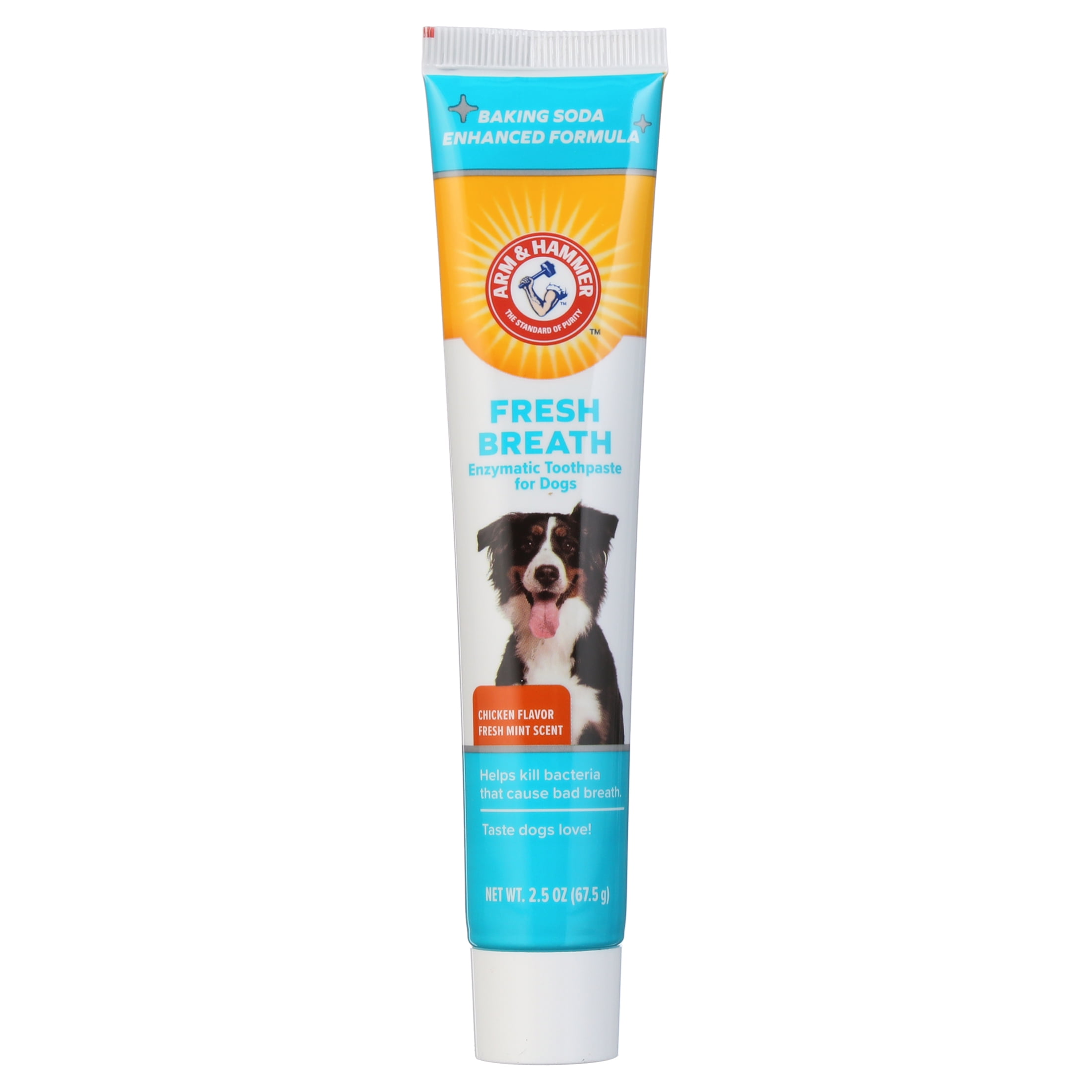 Arm hammer dog toothpaste online