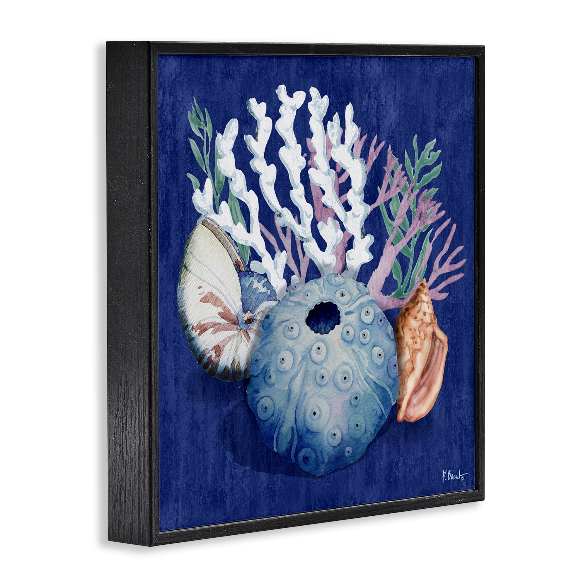 Stupell Industries Sea Urchin & Coral Coastal Painting Black Framed Art Print Wall Art, 17 x 17