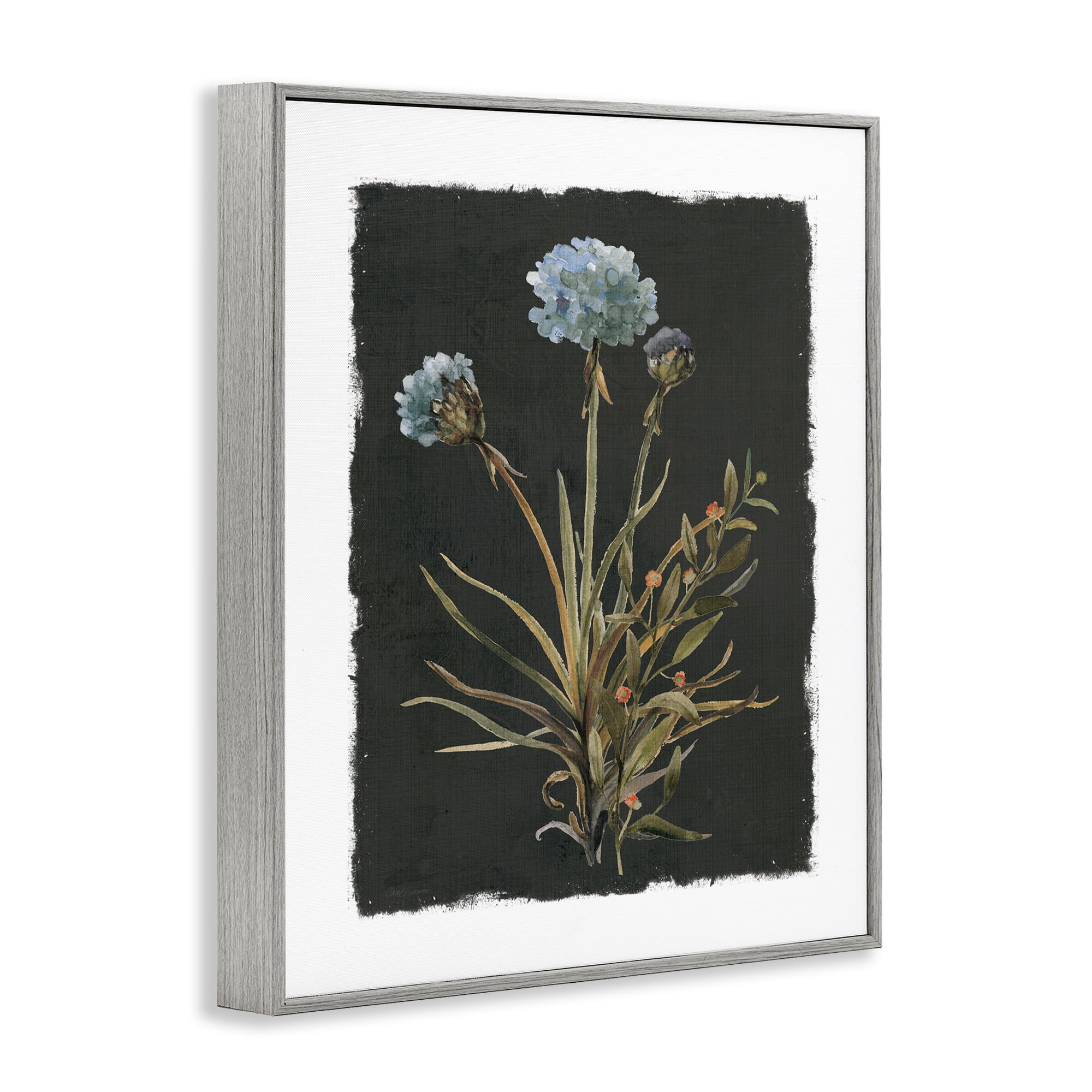 Stupell Industries Cerulean Bloom on Dark Green Gray Framed Giclee Art, design by Carol Robinson