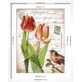 thumbnail image 5 of Art.com French Botanical II Art Print by Gwendolyn Babbitt, White Frame Wall Art, 17" x 21", 5 of 5