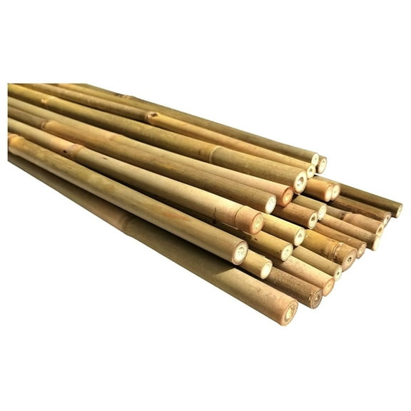 Natural Bamboo Poles, Eco-Friendly Plant Support Garden Stakes 4ft Long, Diameter of 3/8" (25-Count)