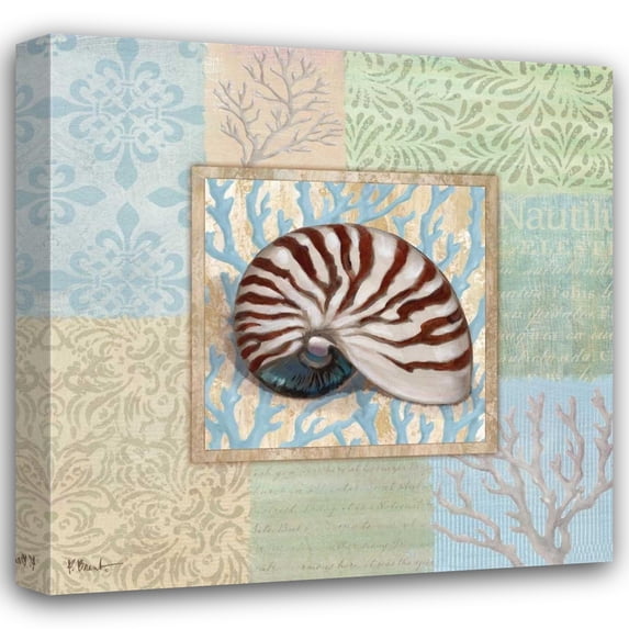 Paul Brent 26x26 Gallery Wrapped Canvas Wall Art Titled - Oceanic Shell Collage III