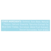 Neuro Energy & Focus Peppermint Gum 12 - 9 Piece Packs