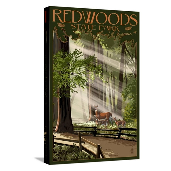 Art.com Redwoods State Park - Deer and Fawns Stretched Canvas Print Wall Art by Lantern Press, 12" x 18"