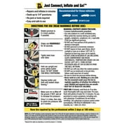 Fix-A-Flat Tire Sealant 16oz (Standard Tires) - S60420