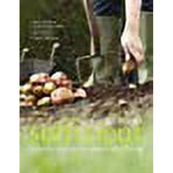 Sufficient : A Modern Guide to Sustainable Living (Paperback)