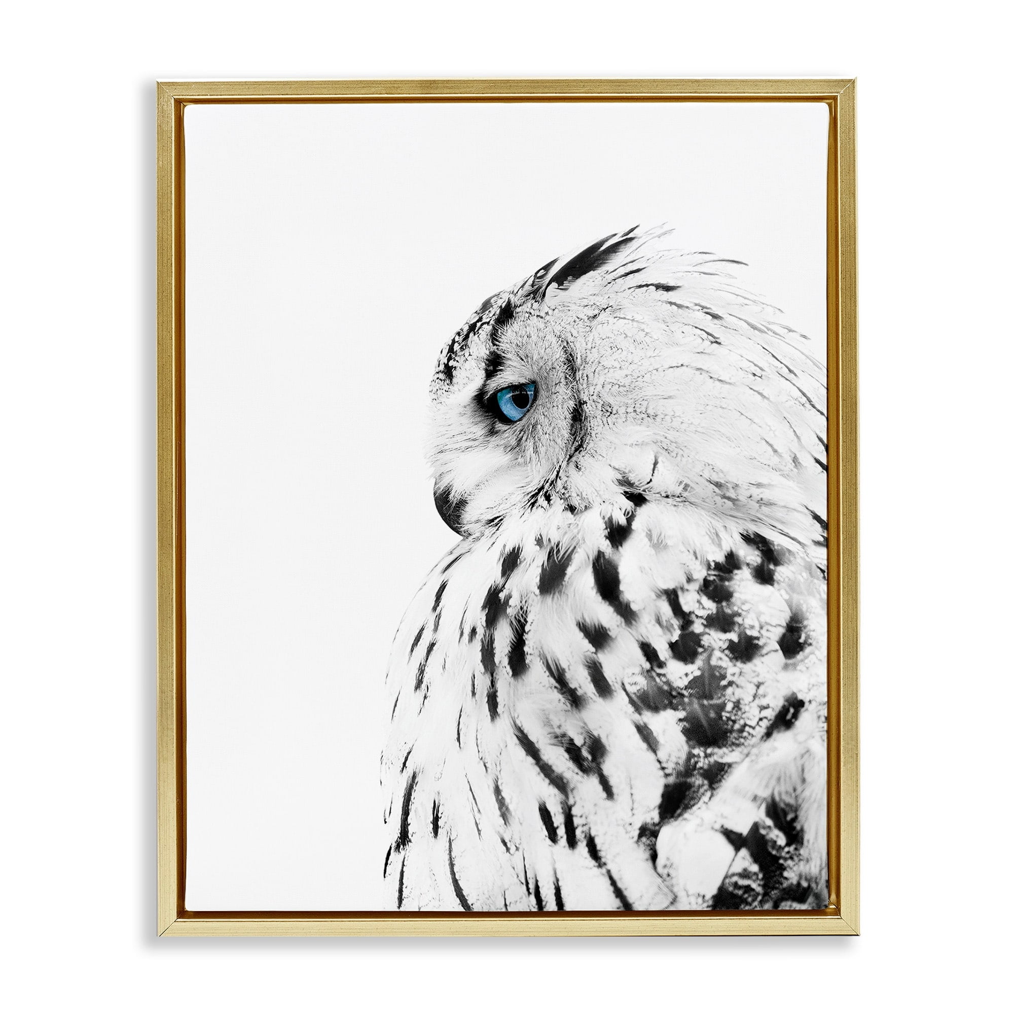 Stupell Industries Snow Owl White Feathers Peering Blue Eyes Metallic Gold Framed Floating Canvas Wall Art, 24x30, by Design Fabrikken