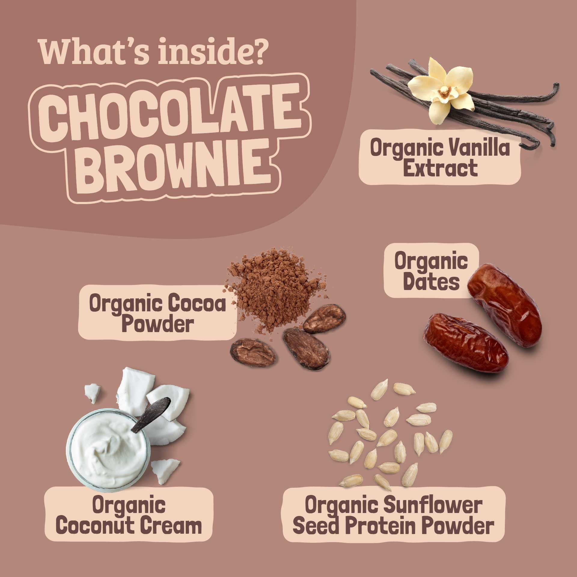 Skout Organic Chocolate Brownie Kids Snack Bars (18 Pack) | Organic Kids Snack Bars | School Snacks & Lunch Snacks | No Refined Sugar | Vegan | Gluten, Dairy, Peanut, Seed Oil Free