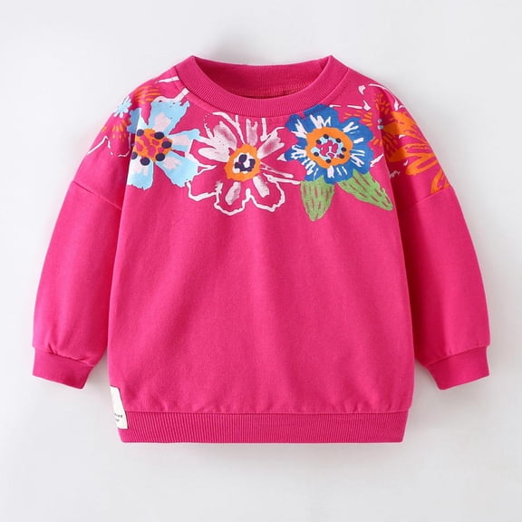 Bnwani Toddler Sweatshirt Boys Cotton Crew Neck Long Sleeve Winter Fall Loose Sweatshirt Cute Tops Pullover