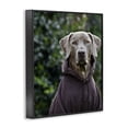 thumbnail image 2 of Stupell Industries Contemporary Labrador Dog Wearing Sweatshirt Hoodie Detailed Photography Black Framed Giclee Art, 11 x 14, by Michael Brian, 2 of 7