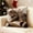#2, variant on Cute Sleeping Cat & Book Print Pillowcase - 18x18 Inch Short Pile Polyester Cushion Cover, Soft Multicolor Sofa Pillowcase for Living Room, Bedroom Bed Decor
