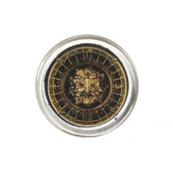 Harry Potter Fantastic Beasts Pewter Lapel Pin Beast Face