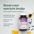 thumbnail image 5 of New Chapter Immune Defense Vitamin C + Elderberry, One Daily Tablet for Healthy Immune Support, 30 Veg Tabs, 5 of 8