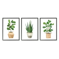 Stupell Minimal Potted Plants Botanicals Botanical & Floral Painting Black Framed Art Print Wall Art, Set of 3