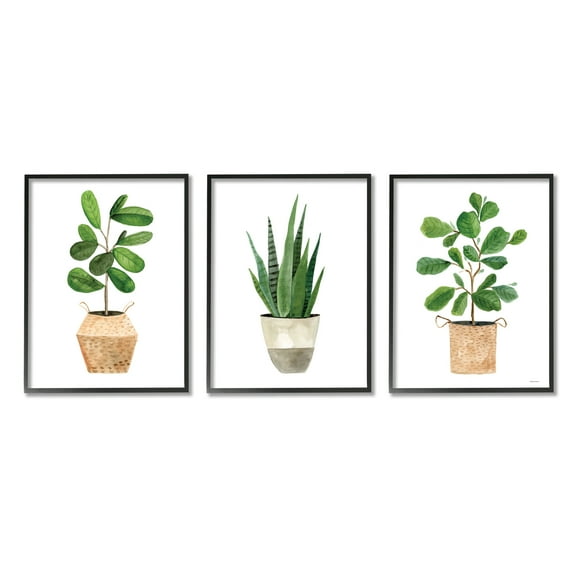 Stupell Minimal Potted Plants Botanicals Botanical & Floral Painting Black Framed Art Print Wall Art, Set of 3