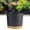 Gray, variant on Xwjun African Violet Pots Planting Pots House Plant Pots Self Watering Plastic Planter With Drainage Hole And Saucer Decorative Flower Pot Flower Pots For Indoor Plants Indoor Plant Pots A