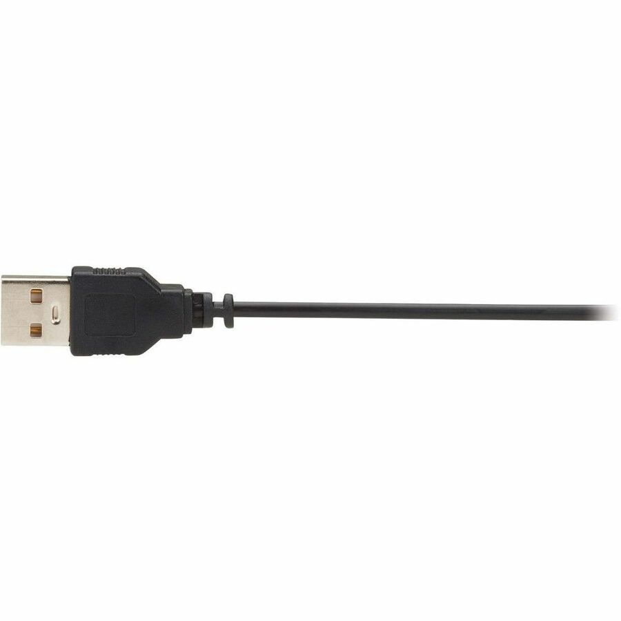 Eaton Tripp Lite Series DisplayPort Fiber Extender Terminations for MPO Fiber Optic Cable, 8K 60 Hz, 32.4 Gbps, LSZH, Up to 328 ft. (100 m)