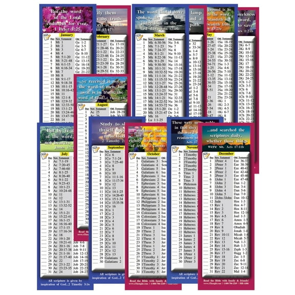 Daily Bible Reading Schedule By Month - Four Sets (24 Cards Total)