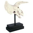 thumbnail image 4 of Design Toscano Triceratops Dinosaur Skull Fossil Statue on Museum Mount, 4 of 9