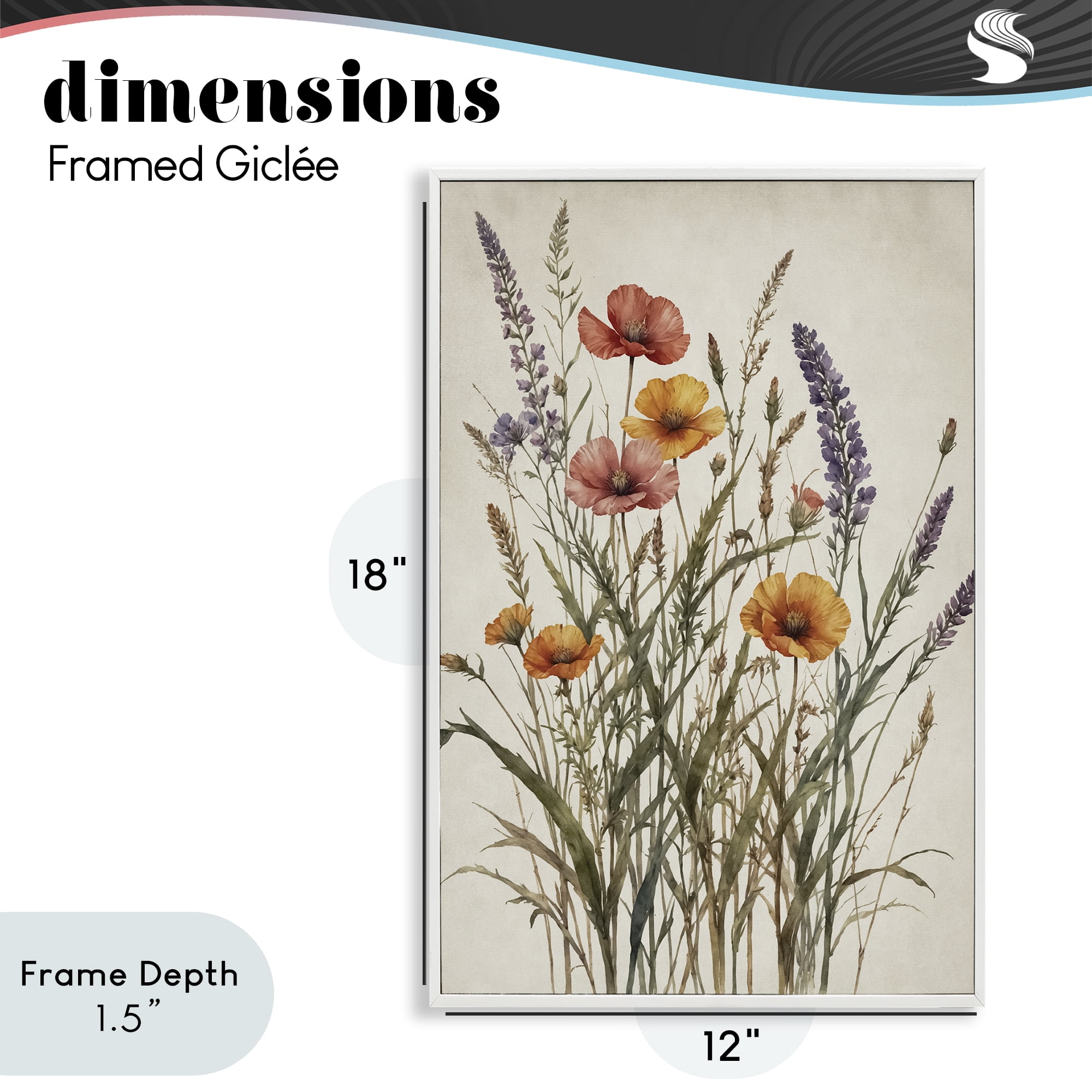 Stupell Industries Vintage Collection of Meadow Botanicals White Framed Giclee Art, design by Nataly White