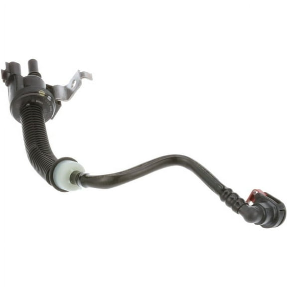 Canister Purge Valve